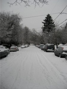 snowyneighborhood